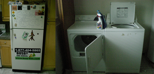 Refrigerator and Washing Machine awaiting Removal