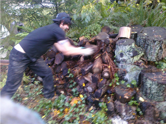 Yard Waste Hauler